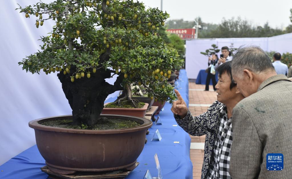 威尼斯送300